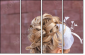 43471205