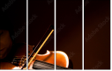 44605714