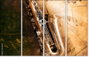 45516171