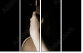 4763355