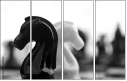 49013321