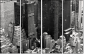 49412199