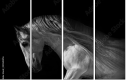 55501476