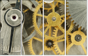 56949725