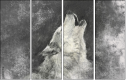 61243496