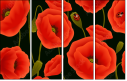 64821989