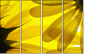 6606588