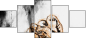 110688808