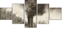 11284076