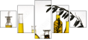 13720078