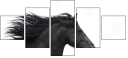 17865105