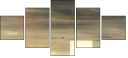 21155951