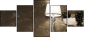 25666505