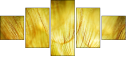 30556275