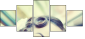 34322843