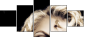 34938176