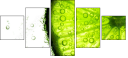 35158909