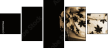 35392166