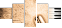 36435334