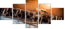 39661645