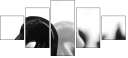 49013321