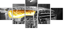 50351832