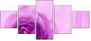 52109021