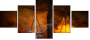52289605