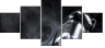 55593987