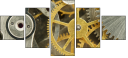 56949725