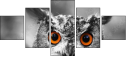 57830545
