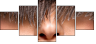 59175977