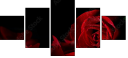 60186592