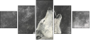 61243496