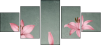 61954635