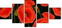 64821989