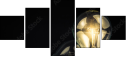 65080183