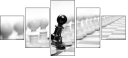 67908547