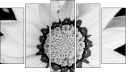 Pentaptychon - Fünfteiliges Leinwandbild