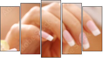 hands care. Female hands holding rose petals - Fünfteiliges Leinwandbild, Pentaptychon