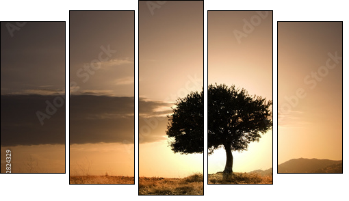 solitary oak tree in golden sunset - Fünfteiliges Leinwandbild, Pentaptychon