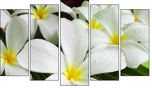 flowers spa - Fünfteiliges Leinwandbild, Pentaptychon