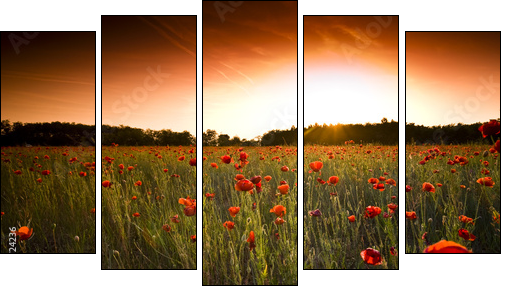 poppies field - Fünfteiliges Leinwandbild, Pentaptychon