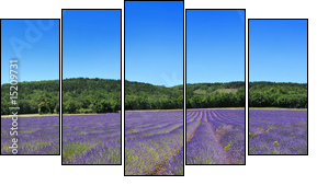 Panorama de provence - Fünfteiliges Leinwandbild, Pentaptychon