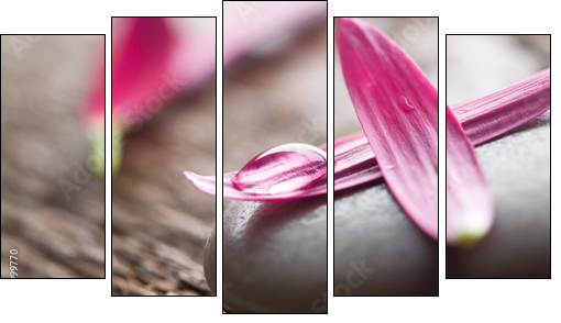 Flower petals - Fünfteiliges Leinwandbild, Pentaptychon