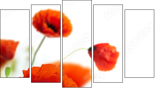 floral design, decoration flowers, poppies border - corner - Fünfteiliges Leinwandbild, Pentaptychon