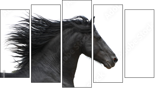 Portrait of galloping frisian horse on white background - Fünfteiliges Leinwandbild, Pentaptychon