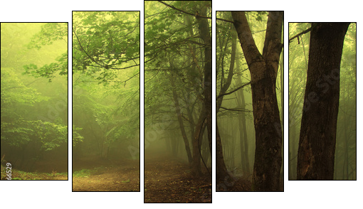 Green forest with fog - Fünfteiliges Leinwandbild, Pentaptychon