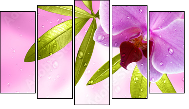 Wellness Motiv mit Orchidee - Fünfteiliges Leinwandbild, Pentaptychon