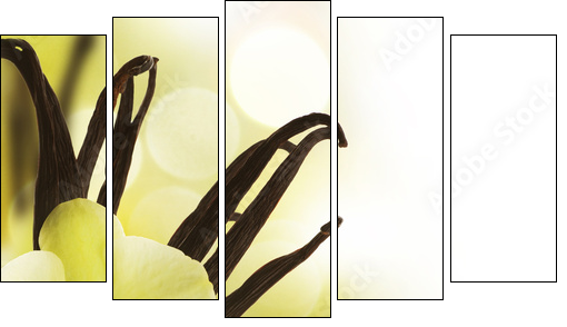 Beautiful Vanilla beans and flower over blurred background - Fünfteiliges Leinwandbild, Pentaptychon